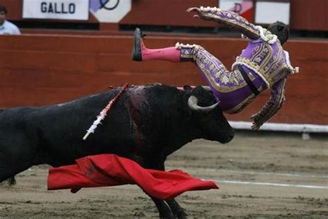 Matador And The Bull Fight - Gallery | eBaum's World