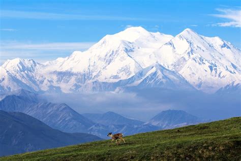 Insider's Guide to Denali National Park & Preserve - KÜHL Blog