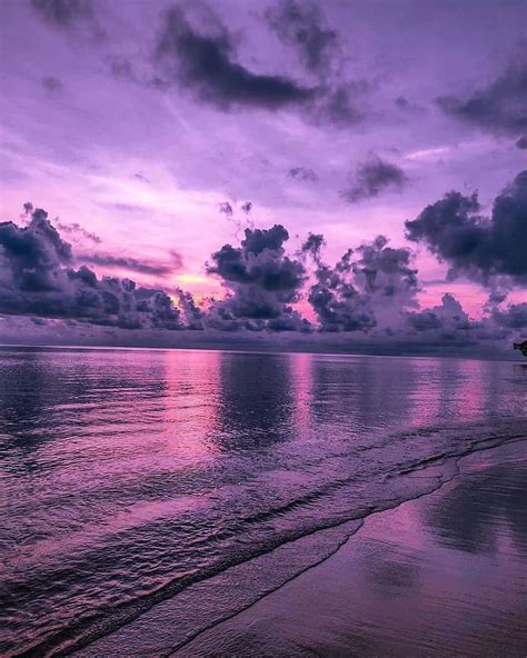 Aesthetics to Admire 🔗🔮 on Instagram: “🌺 ↠ purple beach ⠀⁣ 📸 ↠ @yeah_shweta7 ⠀⁣ ️ ↠ Follow ...