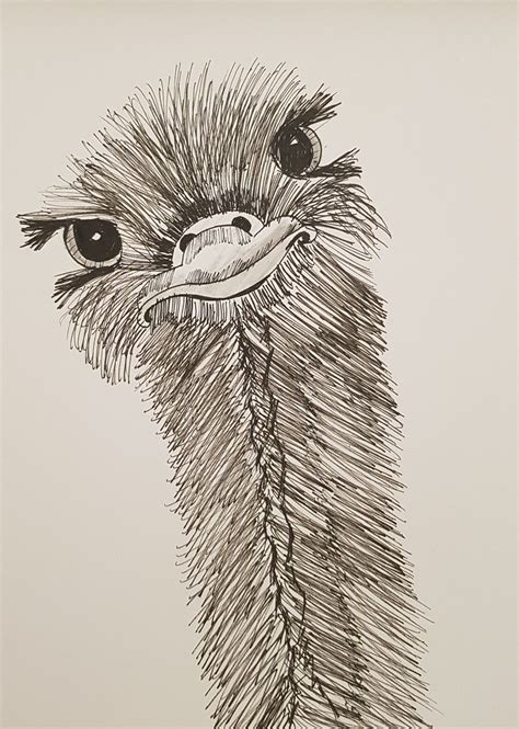 Cute ostrich pen art fun funny animal bird | Animal sketches easy, Bird ...