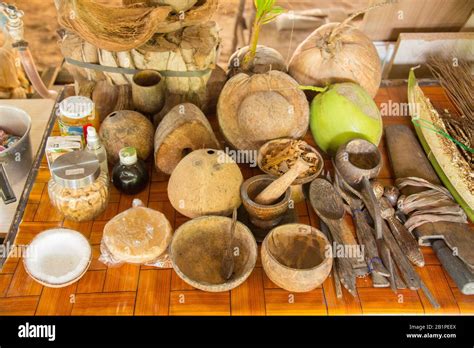 Coconut farm thailand hi-res stock photography and images - Alamy