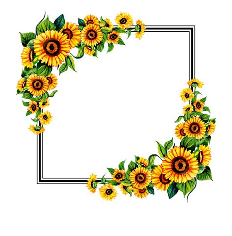Free Png Floral Frame Sunflower - Clip Art Library
