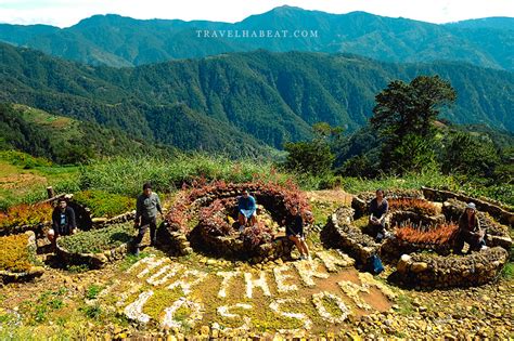 Atok Benguet Flower Farm Baguio Day Tour - Go Travel First