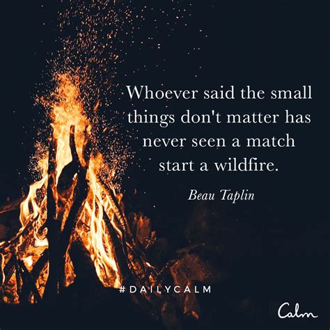 Whoever said the small things don't matter has never seen a match start a wildfire. Beau Taplin ...