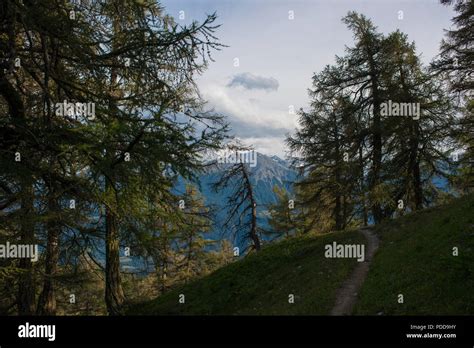 Hiking in Switzerland on a ski mountain in the summer Stock Photo - Alamy