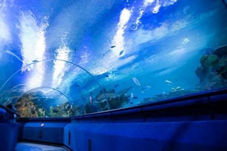 Aquaria KLCC, Kuala Lumpur, Malaysia - Underwater Park in Kuala Lumpur | Underwater park ...