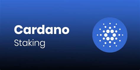 Cardano Staking: Practical Information