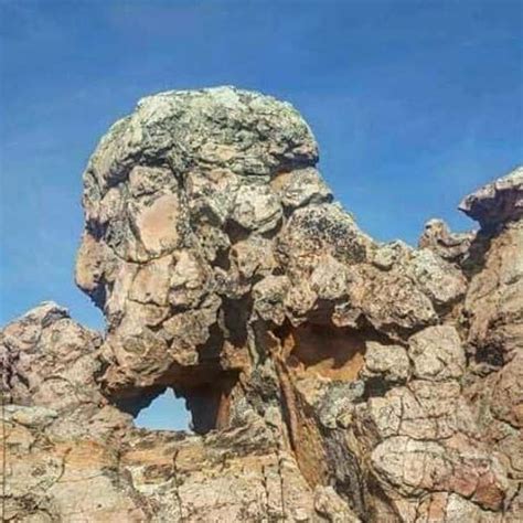 Armored with rock faces thinker. Cool | Amazing nature, Natural ...