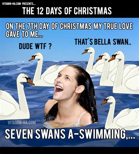 Funny 12 Days Of Christmas