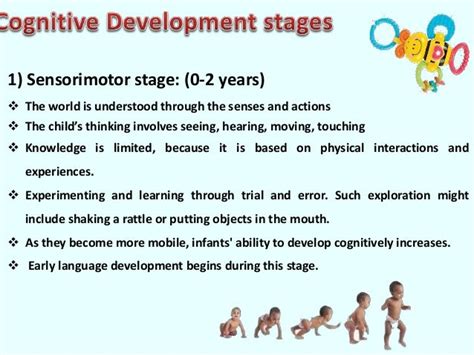 Piaget's Sensorimotor Stage Of Development