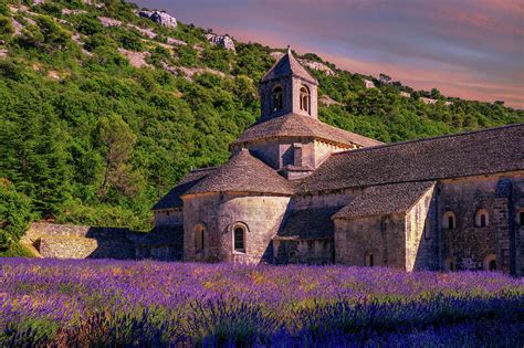 Lavender fields in Senanque monastery, Provence, France Photograph by ...