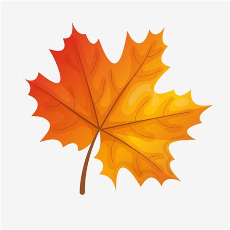 Fall Autumn Leaves Vector Art PNG, Fall Beginning Of Autumn Autumn ...