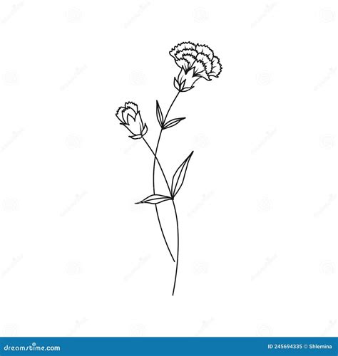 Carnation January Birth Month Flower Illustration Stock Vector - Illustration of tattoo, present ...