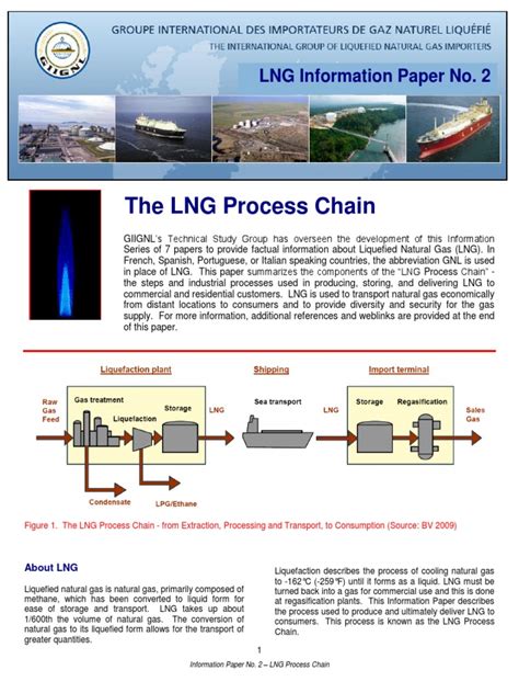 LNG Process Chain.pdf | Liquefied Natural Gas | Natural Gas