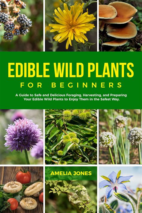 Edible Wild Plants For Beginners: Guide to Foraging, Harvesting, and ...