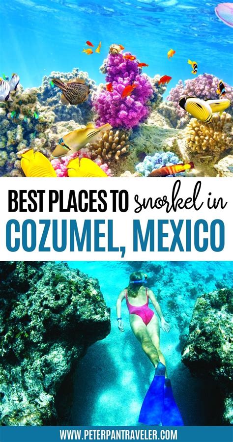 The Best Places to Snorkel in Cozumel in 2022 | Latin america travel, Mexico travel guides ...