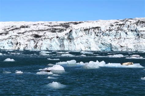 Iceland’s Glacial Lagoon