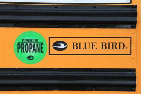 Blue Bird Buses Logo - LogoDix