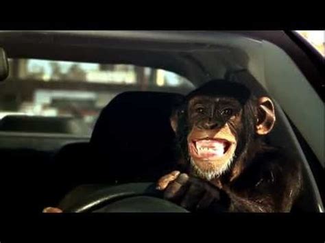 Trunk Monkey: Impound - very funny and great commercial series featuring Trunk Monkey (yes I do ...