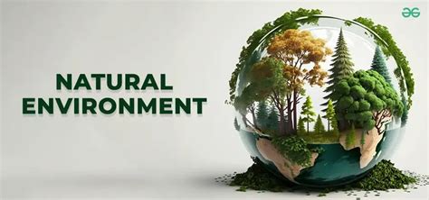 Natural Environment - GeeksforGeeks