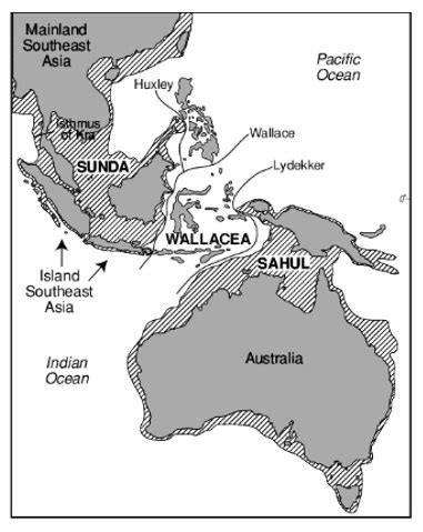 Sahul Dreamer Migration - Wantima