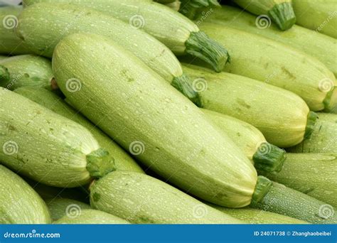 Vegetable Marrow Royalty Free Stock Photos - Image: 24071738