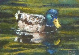 Daily Painting Projects: Mallard Duck Oil Bird Wildlife Painting Fowl ACEO Miniature Art