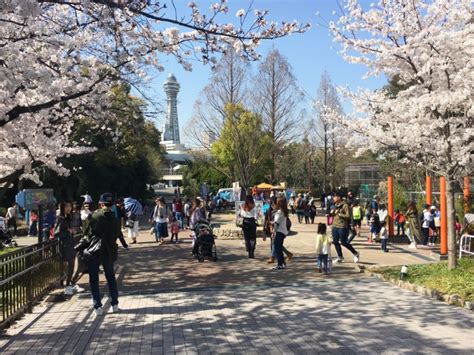 An Osaka Family Favorite! Tennoji Zoo | Kansai Odyssey