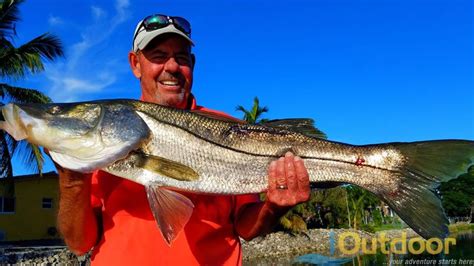 South Florida Freshwater Snook Fishing Charters with Local Experts