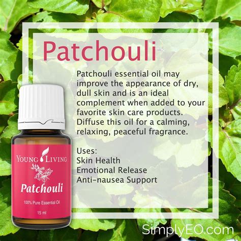 A Short Essential Oil Patchouli Guide For Patchouli Essential Oil blends | Patchouli essential ...
