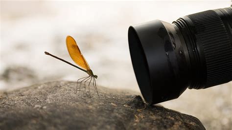 Camera Lens Close Up