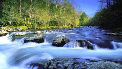 Free photo: Fast-Flowing River - Creek, Nature, River - Free Download - Jooinn