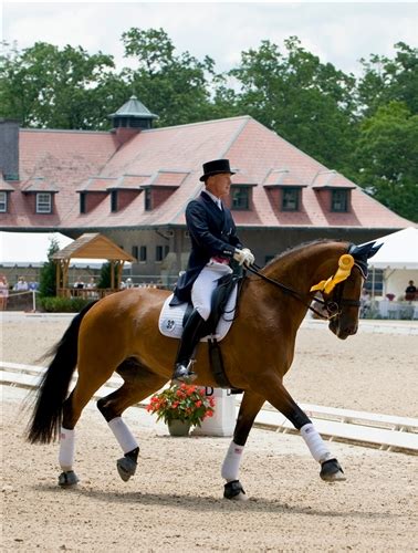 ANN ROMNEY credits horseback riding for almost eliminating her symptoms ...