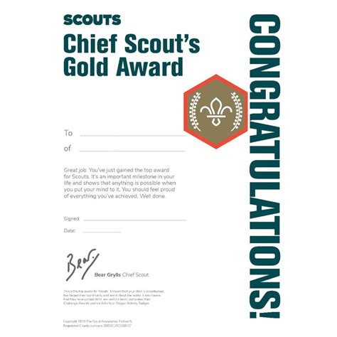 Chief Scout's Gold Award Certificate - Pack of 10 Leaders