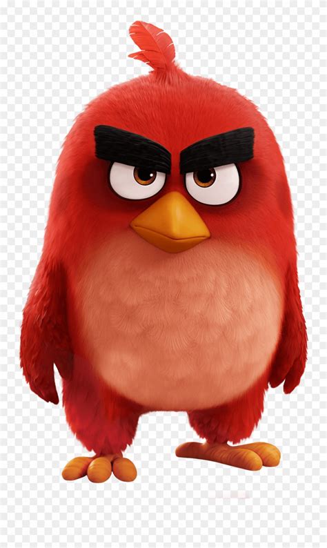 red angry bird clipart 10 free Cliparts | Download images on Clipground 2023