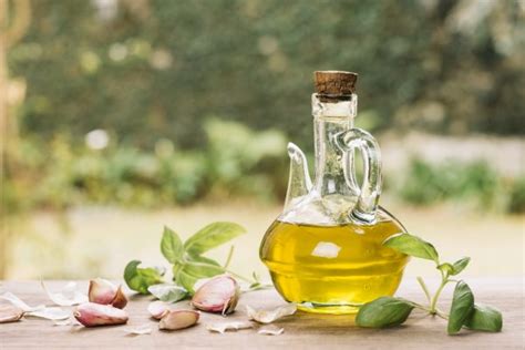 Oils & Fats – How and When to Use Them – IsabellaMD