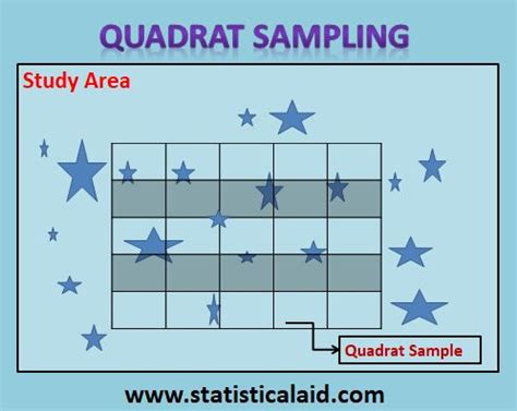 An overview of Quadrat Sampling - DataScienceCentral.com