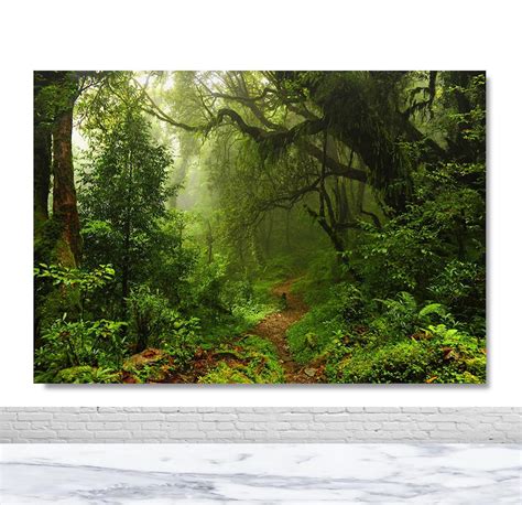 Tropical Forest Photography Backdrop Birthday Party Portrait - Etsy