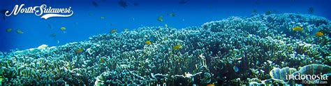 Bunaken National Park, Bunaken Island, Sulawesi, Indonesia