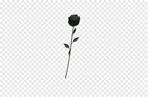 Black Flower Emoji Copy Paste - Home Alqu