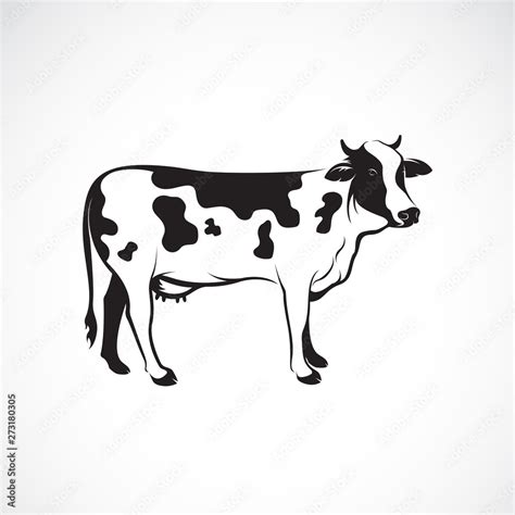 Vecteur Stock Vector of cow on white background, Farm animal, Vector ...