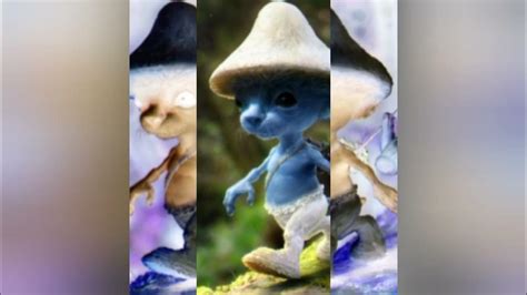 The funny Smurf cat - YouTube