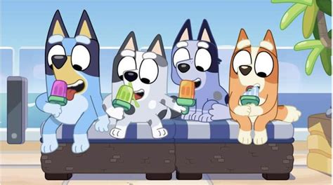 Bluey muffin socks and bingo Heeler eat popsicles. : bluey