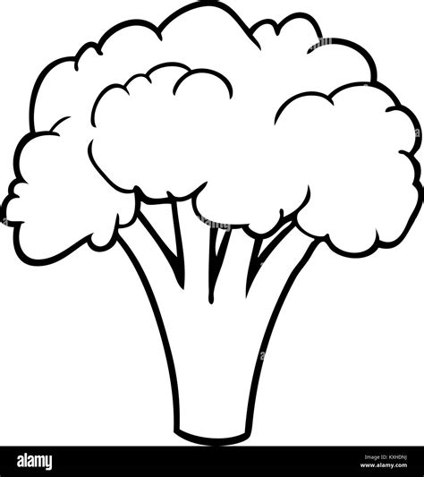 Disegno della linea di broccoli Immagine e Vettoriale - Alamy