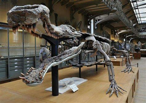 Sarcosuchus I. | Prehistoric, Prehistoric animals, Prehistoric creatures