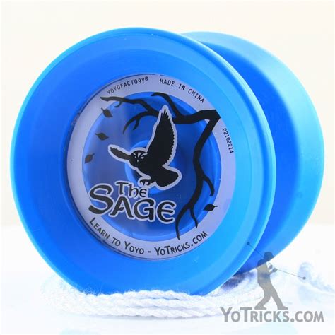 Sage Yoyo