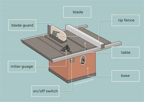 How to Use a Table Saw (Expert Guide) - Sensible Digs