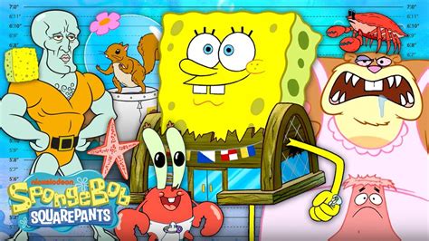 Characters of spongebob cartoon