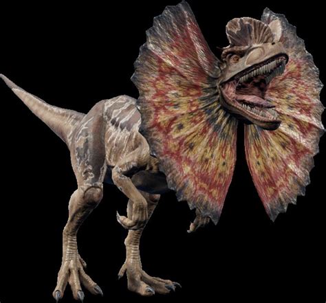 Dilophosaurus Facts：12 Points You Should Know About This Spitting Crested