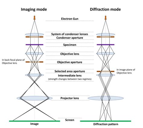 Scanning Electron Microscope Ray Diagram